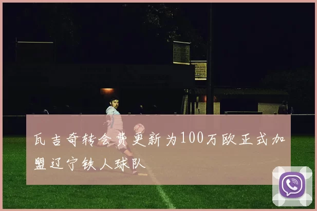 瓦吉奇转会费更新为100万欧正式加盟辽宁铁人球队